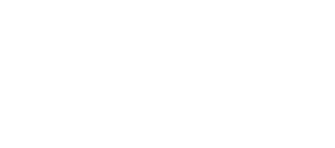 Wilson's Solutions Algeria Logo